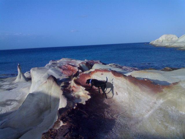 Traditional House By The Sea Mandrakia Extérieur photo